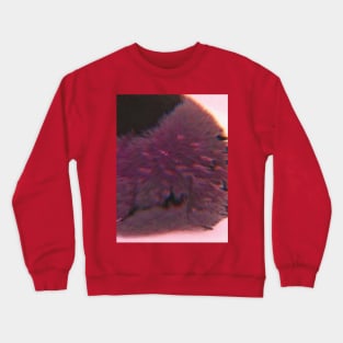 Sentiment and Edge Crewneck Sweatshirt